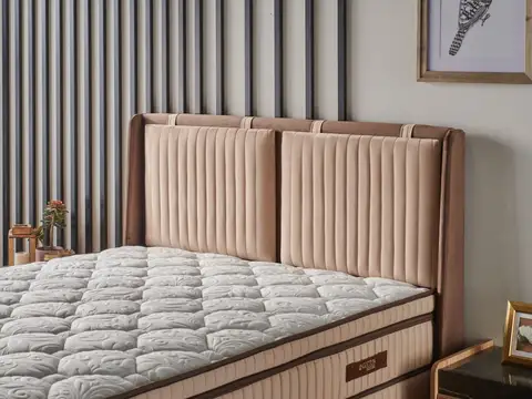 Therapy Xl Başlık